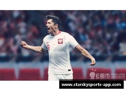 波兰世界杯球员：全面解析与独家故事