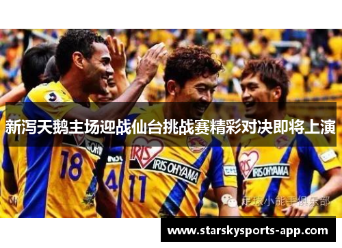 新泻天鹅主场迎战仙台挑战赛精彩对决即将上演
